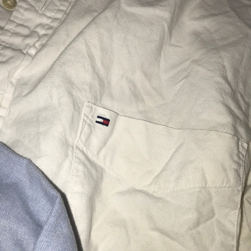 Polo/Hilfiger Button Down Bundle - image 5